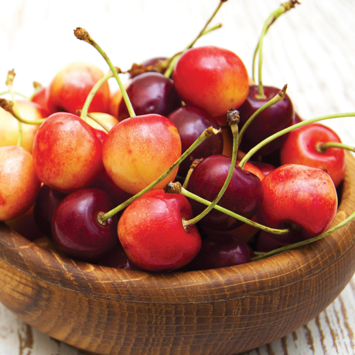 日本向け ワシントン州産 超大粒アメリカンチェリー ロイヤル・レイニア種 & ダーク種 詰め合わせセット