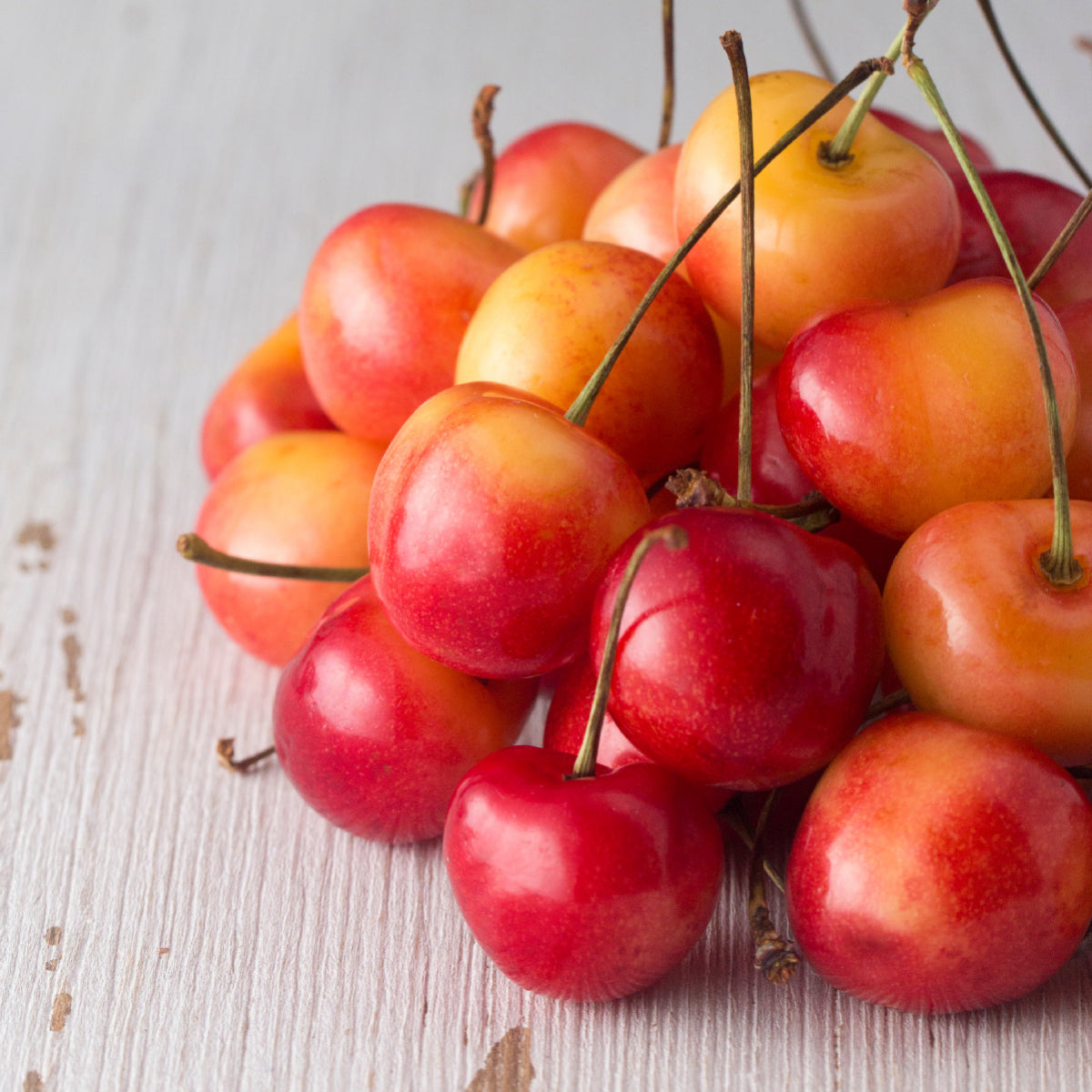 日本向け ワシントン州産 超大粒アメリカンチェリー ロイヤル・レイニア種