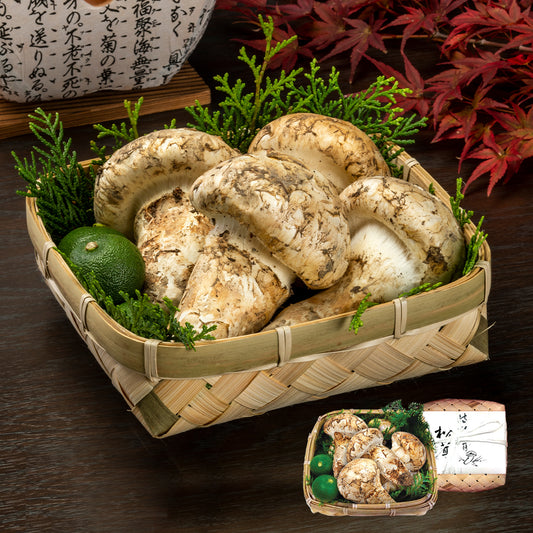 日本向け 北米産 最高級ロイヤル松茸